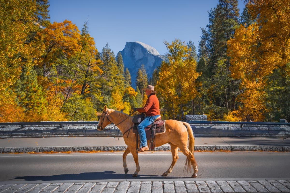 Cowboy in Yosemite